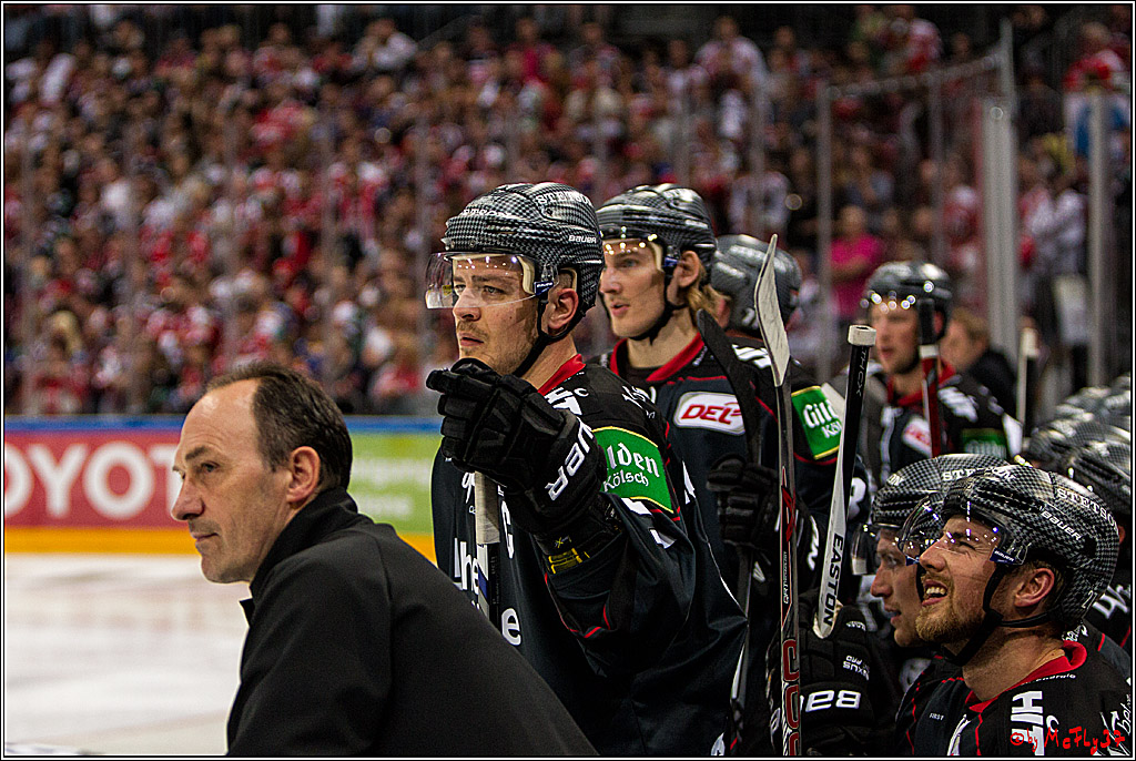 Koelner Haie - EHC Red Bull Muenchen , 16.09.16(KW37)